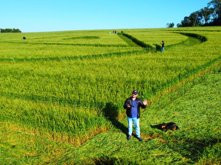 Novo agroglifo surge em Ipuaçu Vvale