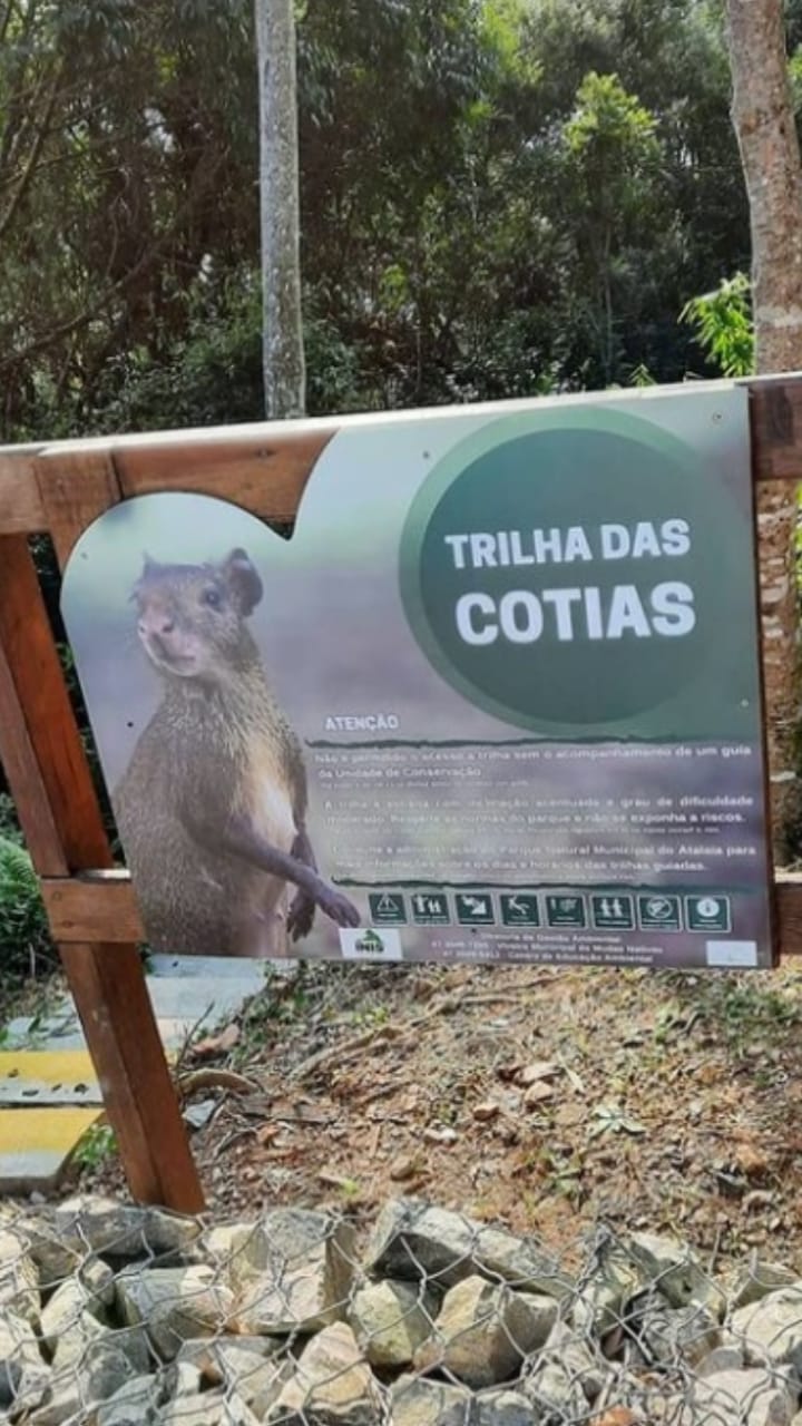 Trilha das Cotias – Parque Atalaia – Itajaí Trilha das Cotias – Parque Atalaia – Itajaí