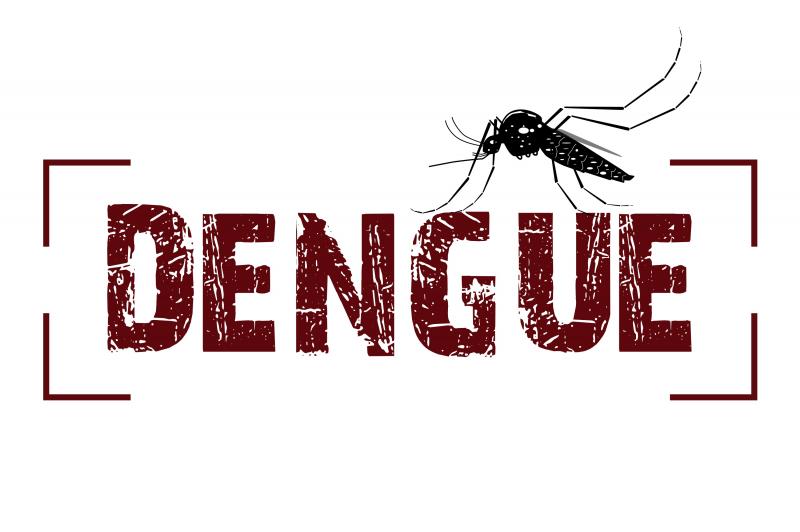 dengue-saude-reproducao