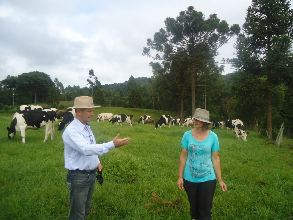 2020-uniao-vitoria-agricultura-emater