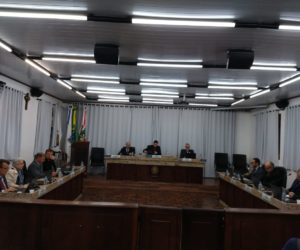 (Foto: Mariana Honesko).