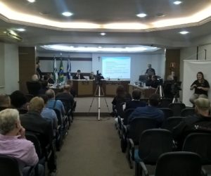 pleno