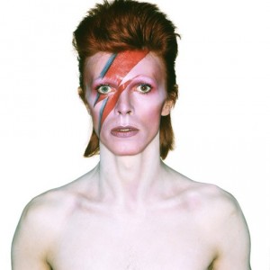 david