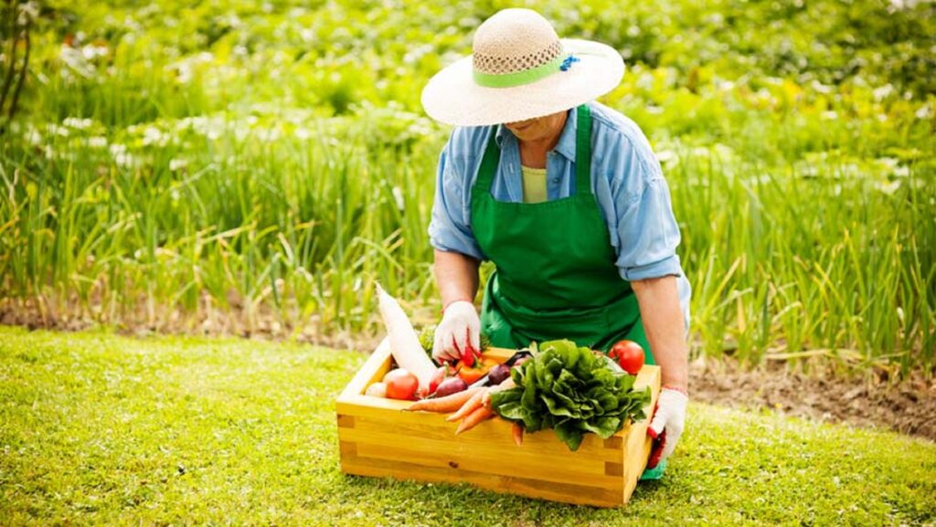 Artigo União feminina a favor do campo