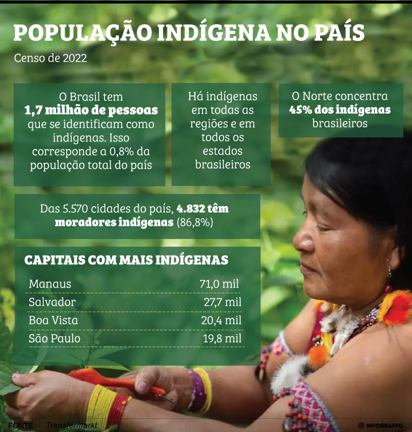 População indígena no país