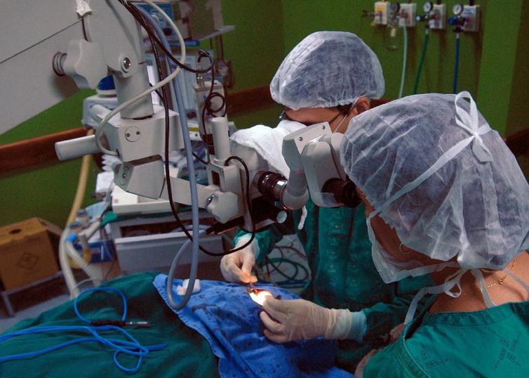 Transplantados alertam sobre a importância da doação de órgãos