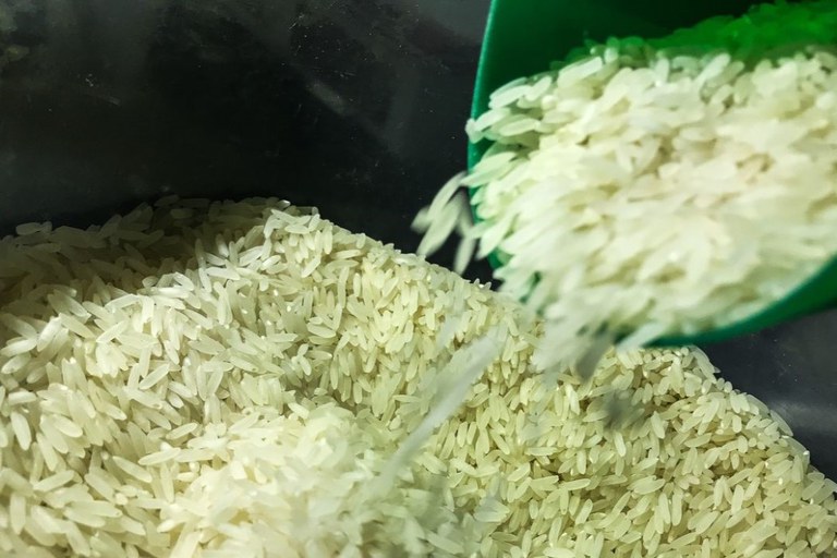 COLUNA PELO ESTADO: Novo leilão de arroz pode prejudicar produtores locais