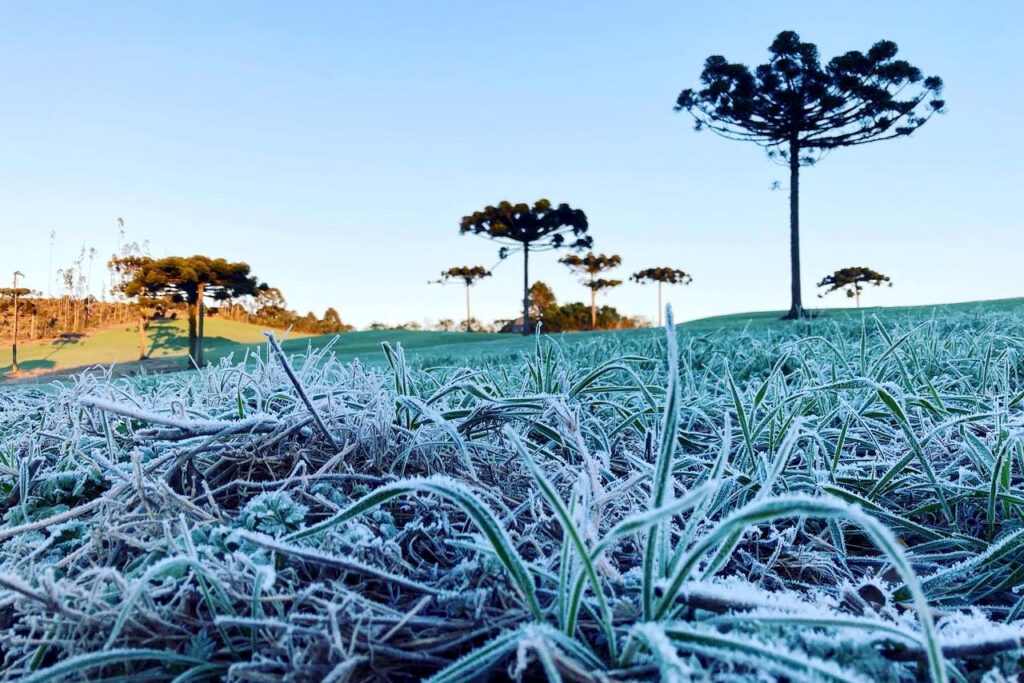 COLUNA PELO PARANÁ: Inverno paranaense