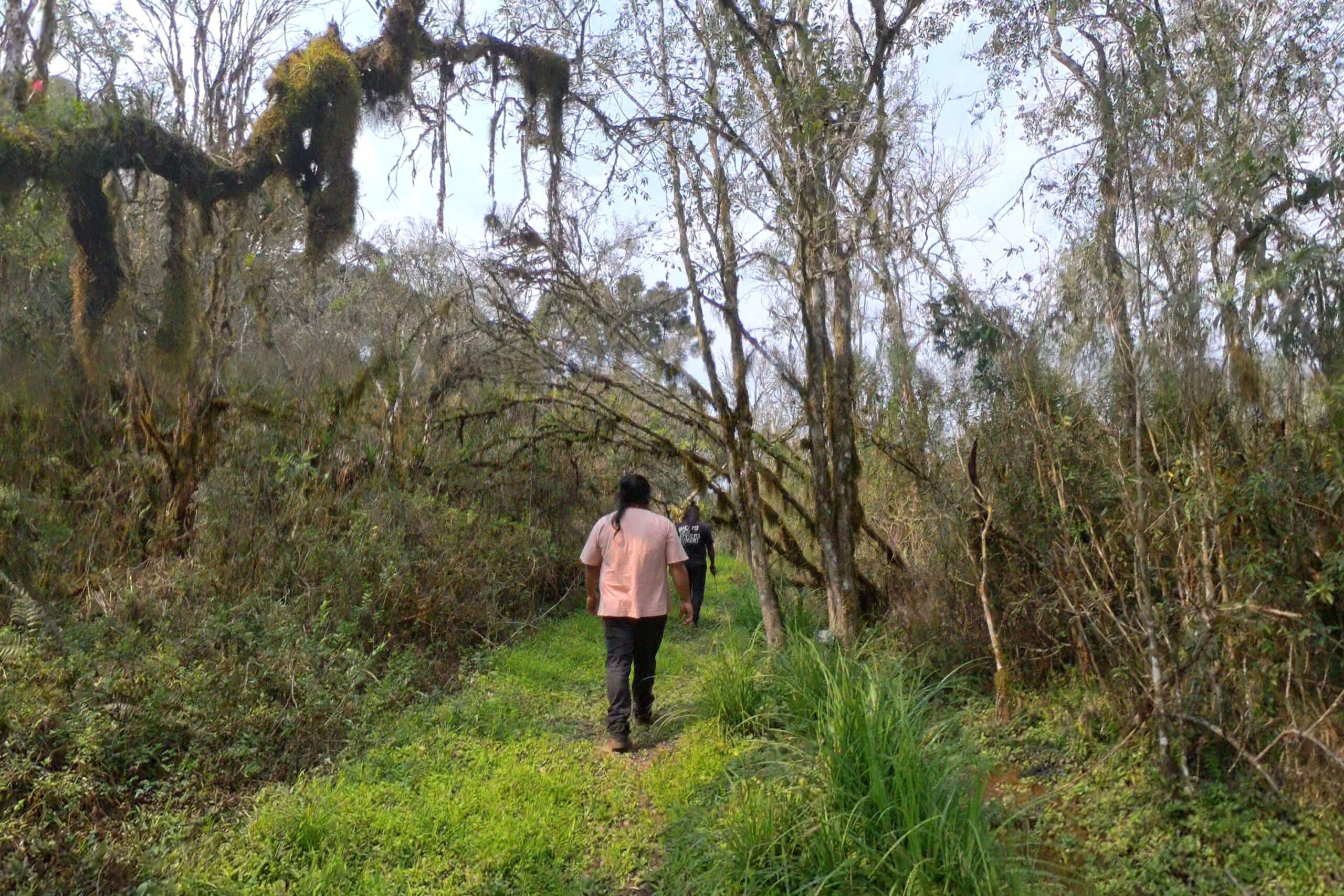 caminhos_do_peabiru_leo_04