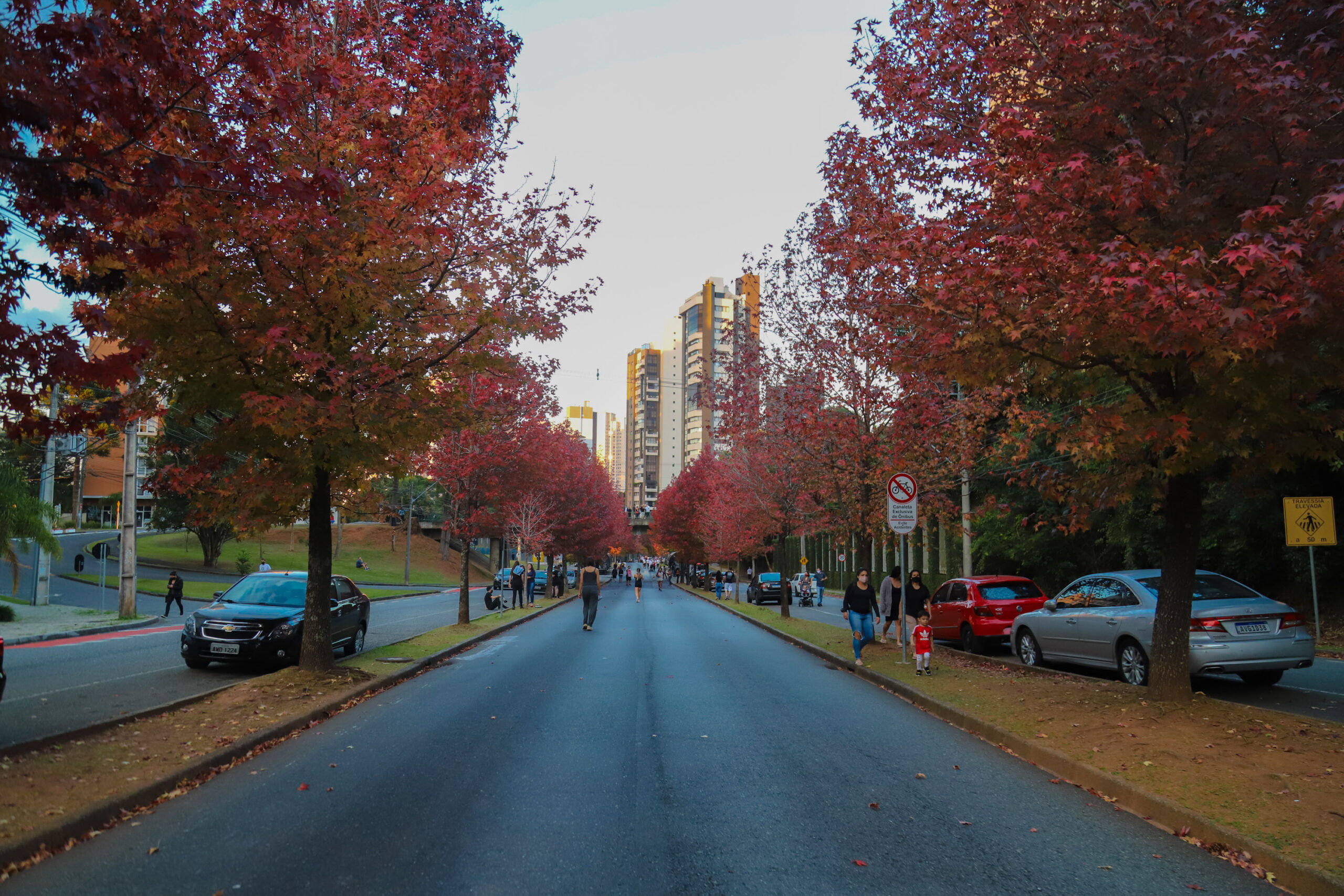 COLUNA PELO PARANÁ: Outono no Paraná
