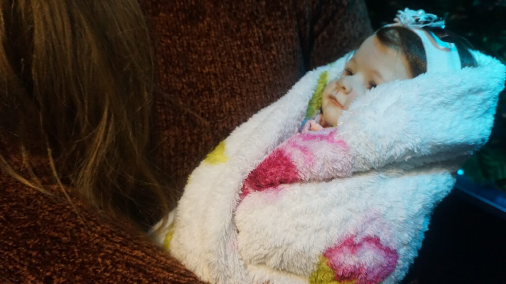 Bebês Reborn: psicanalista analisa a polêmica do brinquedo realista