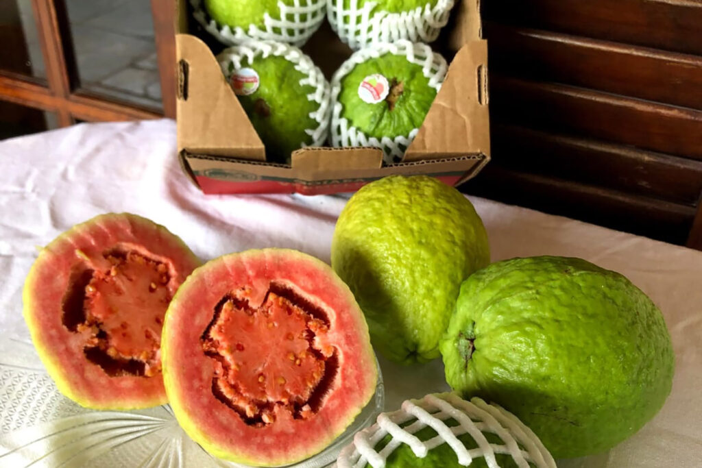 Simpósio de Fruticultura