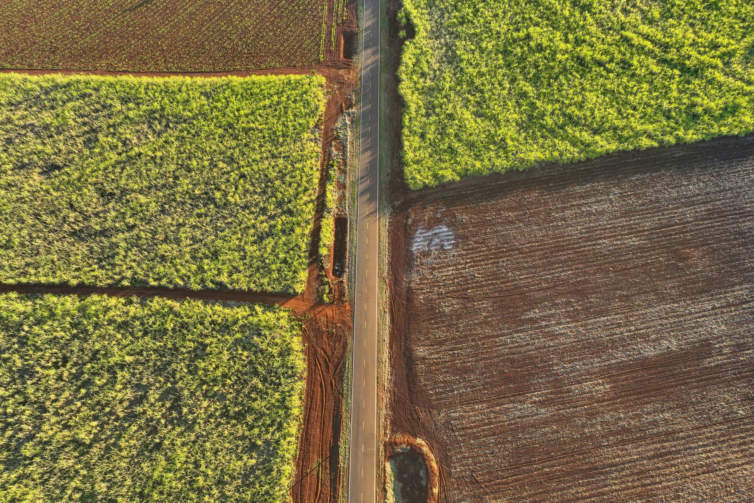 COLUNA PELO PARANÁ: Rodovia estadual