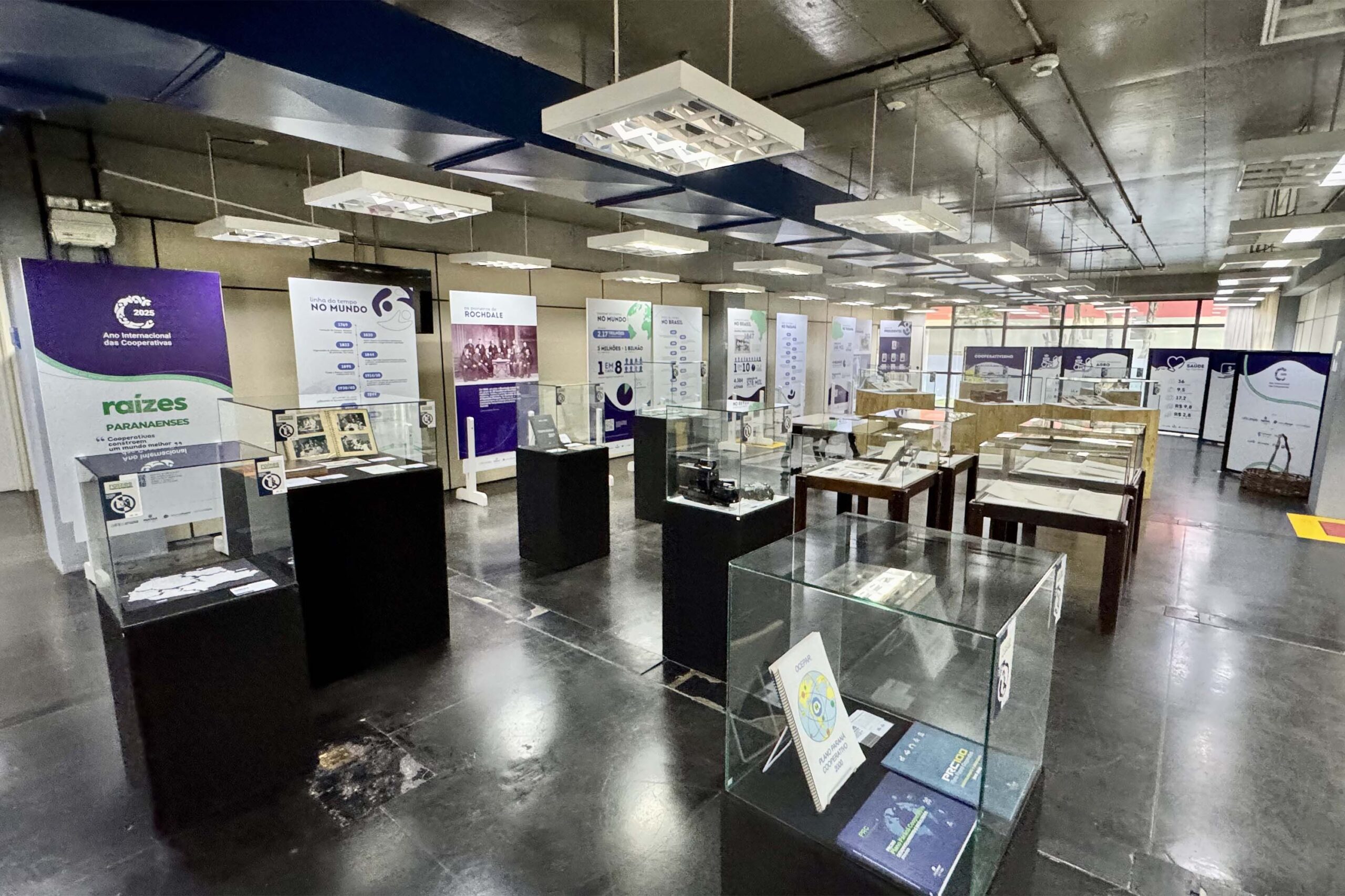 COLUNA PELO PARANÁ: Raízes Paranaenses