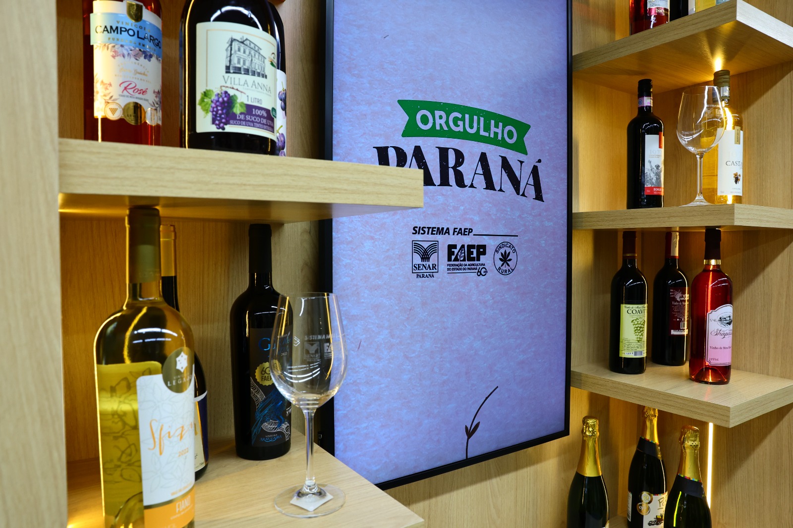 COLUNA PELO PARANÁ: Uva & Vinho