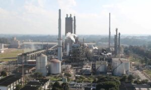 COLUNA PELO PARANÃ: Concurso da AraucÃ¡ria