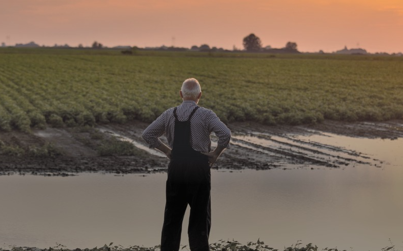 COLUNA PELO PARANÁ: Seguro rural em pauta