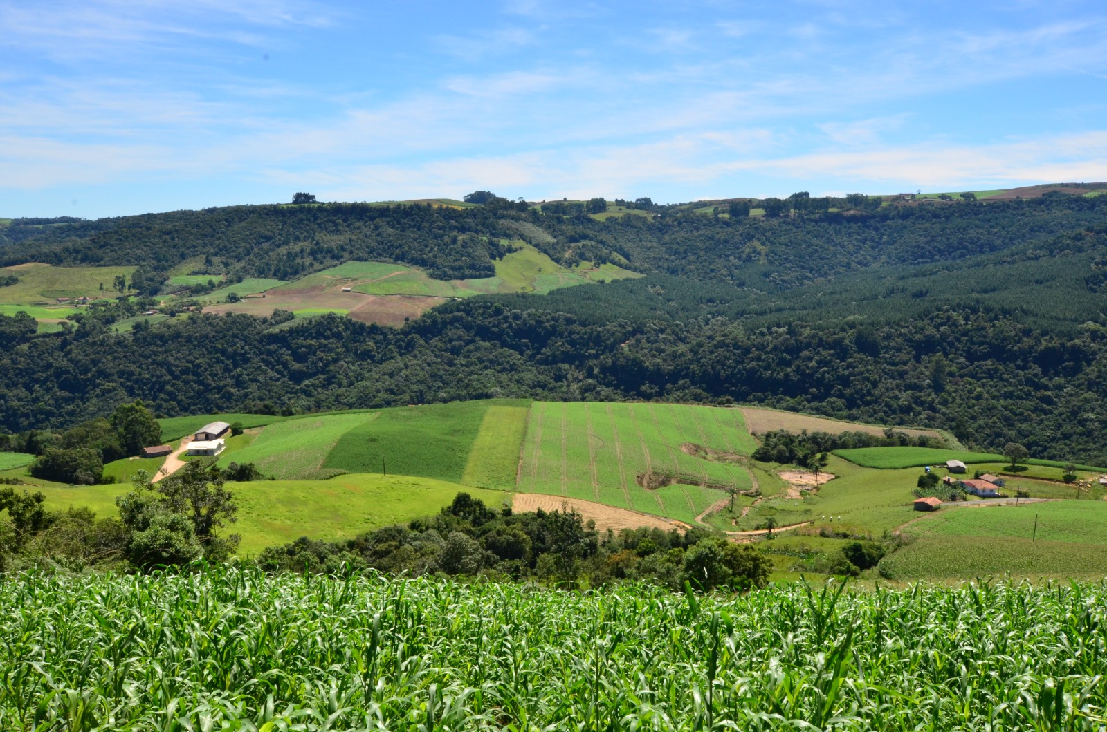 COLUNA PELO ESTADO: Cooperativas impulsionam a economia de Santa Catarina