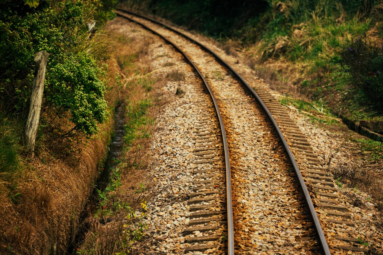 COLUNA PELO ESTADO: Malha ferroviária deve integrar os quatros estado do Codesul