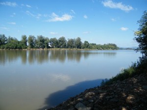 Projeto Rio Limpo incentiva a limpeza do Rio Iguaçu