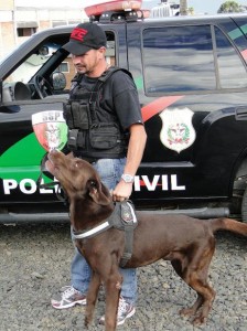 Polícia Civil apreende mais drogas em Porto União