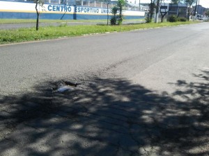 Asfalto com buracos incomoda moradores da Bento Munhoz
