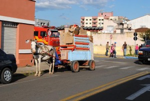 Papeleiros não respeitam regras de tráfego de carroças em União da Vitória