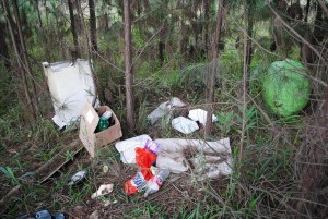Lixo incomoda moradores de Santa Rosa