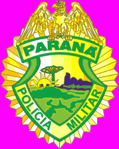 Furtos são corriqueiros em União da Vitória