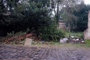 União da Vitória tem Leis de  sobra, mas que poucos cumprem
