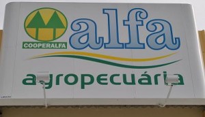 alfa