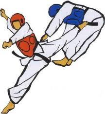 Com 11 medalhas, Taekwondo de Porto União termina no quarto geral do Catarinense