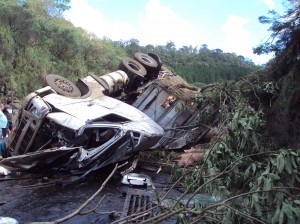 Carreta carregada com porcos tomba na BR-153 em General Carneiro