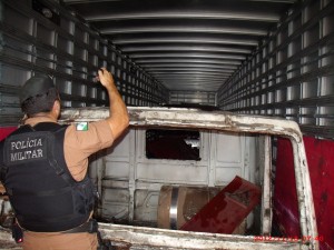 Carcaças encontradas no baú de caminhões. (Foto: Divulgação)