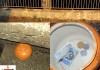 PM encontra objeto usado para venda de drogas