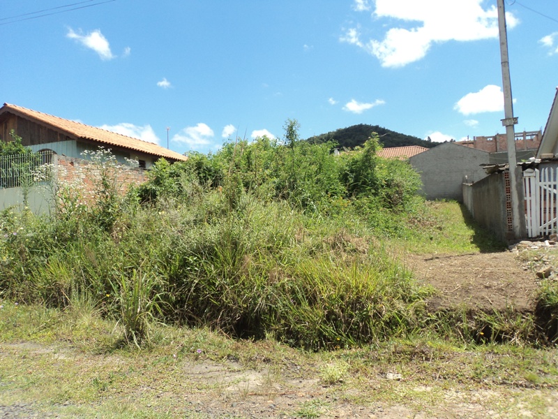 Proprietários que não limparem terrenos podem ser multados terrenosbaudios-multa-portouniao