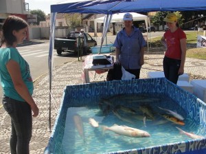 feira do peixe