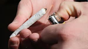 maconha