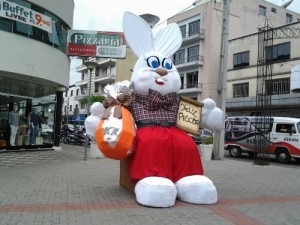 wpid-20130318_144231.jpg
