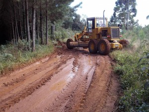 Palmital_do_meio_11_04_13 (44)