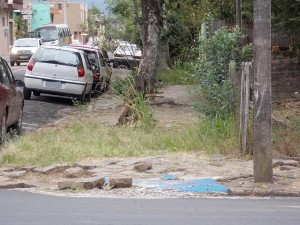 limpeza terrenos2