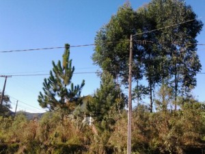 wpid-20130422_160416.jpg