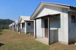 IMG_8288
