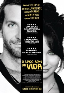 O-Lado-Bom-da-Vida-poster-nacional