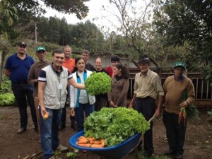 Agricultura Orgânica