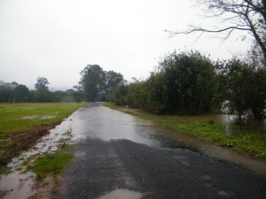 Rua de acesso ao Parque Ambiental Ary Queiroz