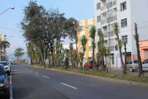 arborização2