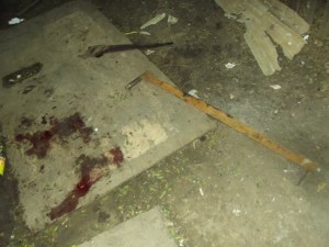 crueldade animal