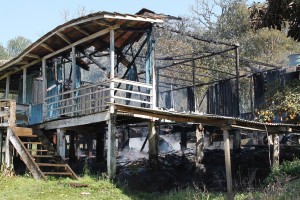 fogo (3)