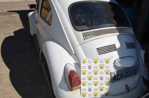 fusca (1)